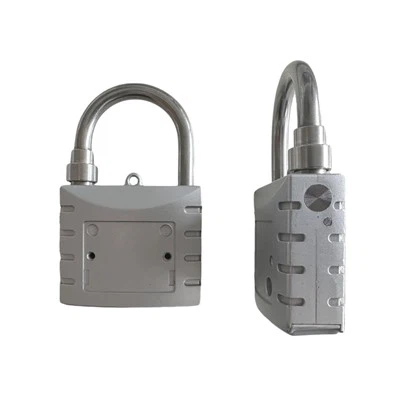 Защитные пломбы навесного замка